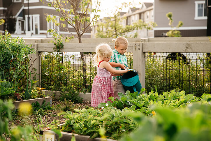 Children gardening in Seton community in Calgary, Alberta