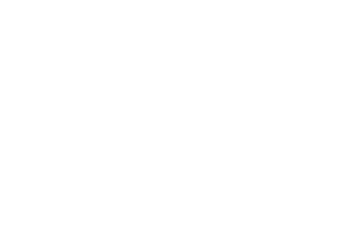 Logel Homes logo