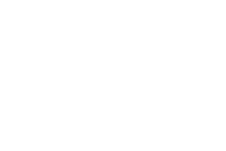 Rohit Homes logo