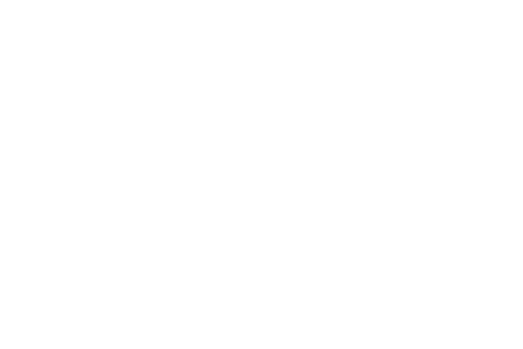 Brookfield Residential logo